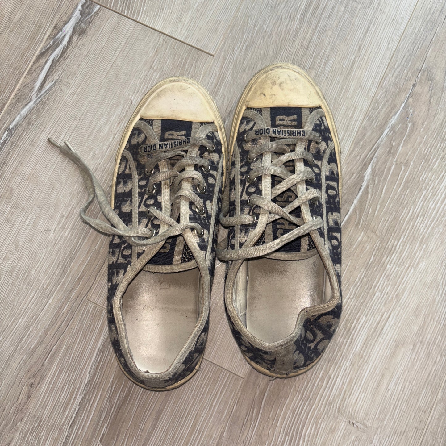 Dior Sneaker