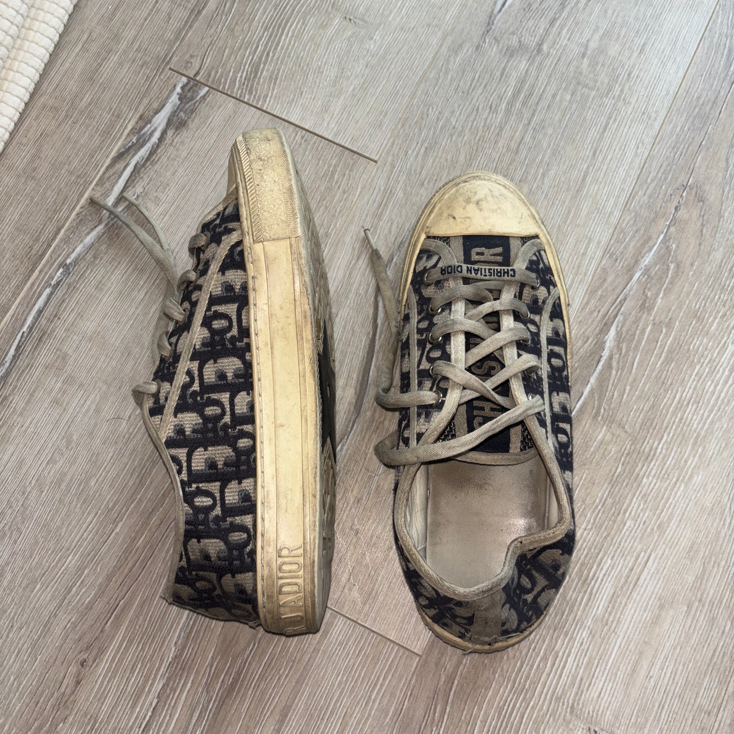 Dior Sneaker